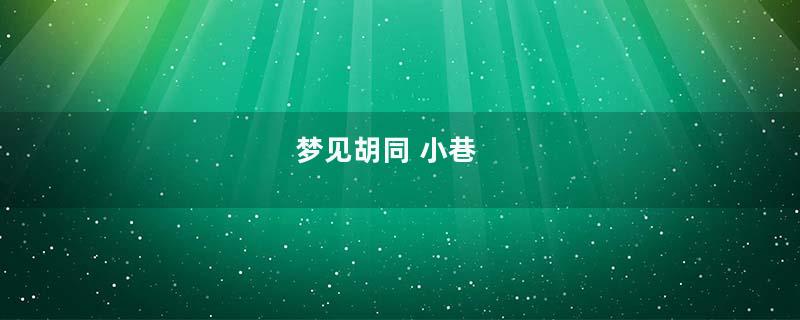梦见胡同 小巷